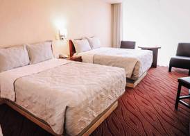 Hotel Real Plaza Aguascalientes 5