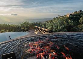 Elevate Bali 2
