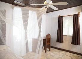 Hotel Gringo Perdido 4