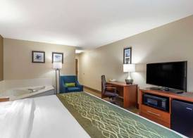 Comfort Inn & Suites - near Robins Air Force Base Main Gate 3