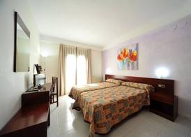 Hotel y Hostal Vall d Aneu 4