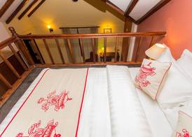 Baber Mahal Vilas - The Heritage Hotel 5