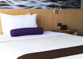 Palmetto Hotel Business San Borja 5