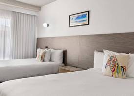 Zebra Motel 5