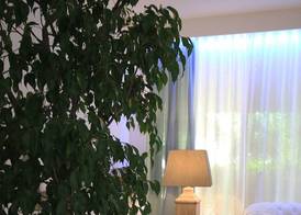 Raffaelli Park Hotel 4
