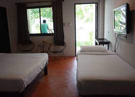 Bamboo Resort 5
