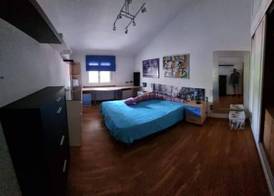 Casa Los Pinares 3