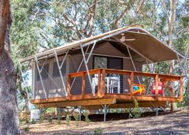 Port Stephens Koala Sanctuary 3