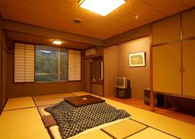 Mount View Hakone 5