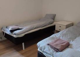 Sleepindenmark 2