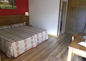 Hotel Milagros Rio Riaza 5