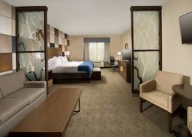Holiday Inn Express & Suites WACO SOUTH by IHG 3