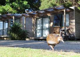 Russell-Orongo Bay Holiday Park 4
