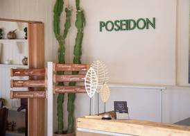 Poseidon Apartments and Villas by the Sea 2