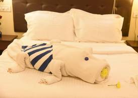 Ticlo Resort 3