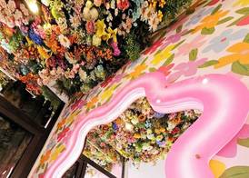 Hotel La Petite Rosa 2