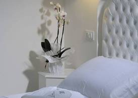 Hotel Al Cavallino Bianco 3