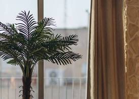 Hotel Polamar 2
