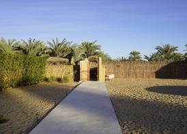Gazrashek Siwa Hot spring& Trips Haven-Free Pickup Service 2