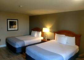 Inn At The Convention Center 5