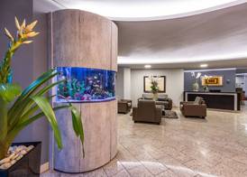 Hotel Egina Medellin 5