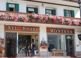 Hotel Montana 3