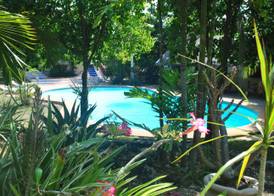 The Blue Orchid Resort 5