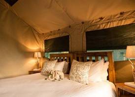 Rukiya Safari Camp 3
