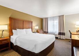 Comfort Inn & Suites Midtown 4