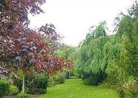 Diamond Hill Country House 3