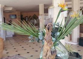 Hotel Djerba Orient 2