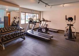 Best Western Plus Hyde Park Chicago Hotel 2