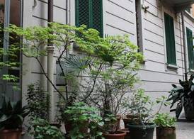 Lepetit Milano 4