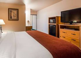 BEST WESTERN PLUS Hartford Lodge 5