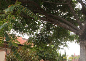Aparthotel El Cerrito 5
