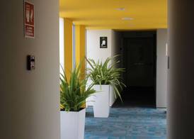 Palmetto Hotel Business San Borja 2