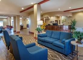Comfort Suites Airport South 3