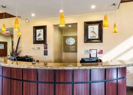 Comfort Suites near NASA - Clear Lake 4