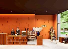 AMIS By Sima Thani 2