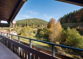 Hotel Schwarzwaldhof 2