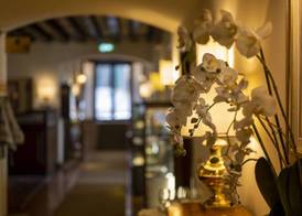 Hotel Villa Cipriani 3