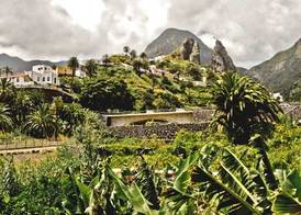 Finca Piñero 4