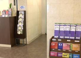 Tokyo Plaza Hotel 2
