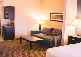 Holiday Inn Express & Suites MORTON PEORIA AREA by IHG 3