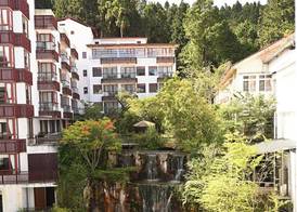 Alishan House - The Modern House 4