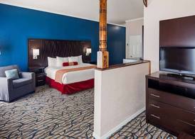 Best Western Spring Hill Inn & Suites 4