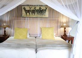 Zambezi Dusk River Facing-all inclusive-Luxury Accommodation 2