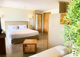 Cannes Villa St Barth 4