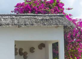 Villa Kiva Boutique Hotel 3