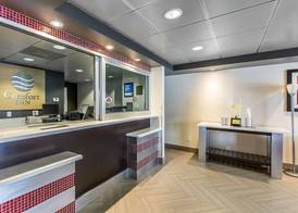 Comfort Inn Los Angeles near Hollywood 3